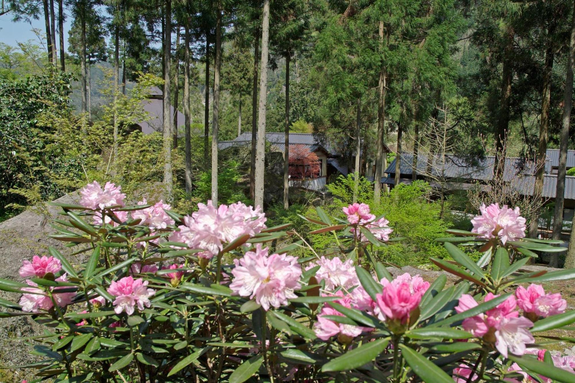 Auberge Funoki Nakatsu Exteriér fotografie