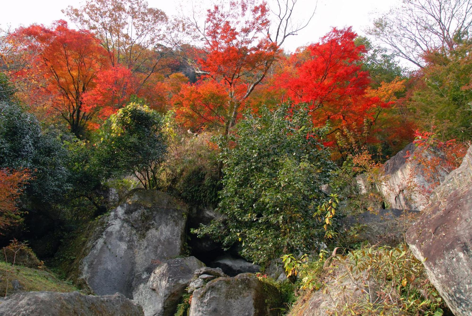 Auberge Funoki Nakatsu Exteriér fotografie