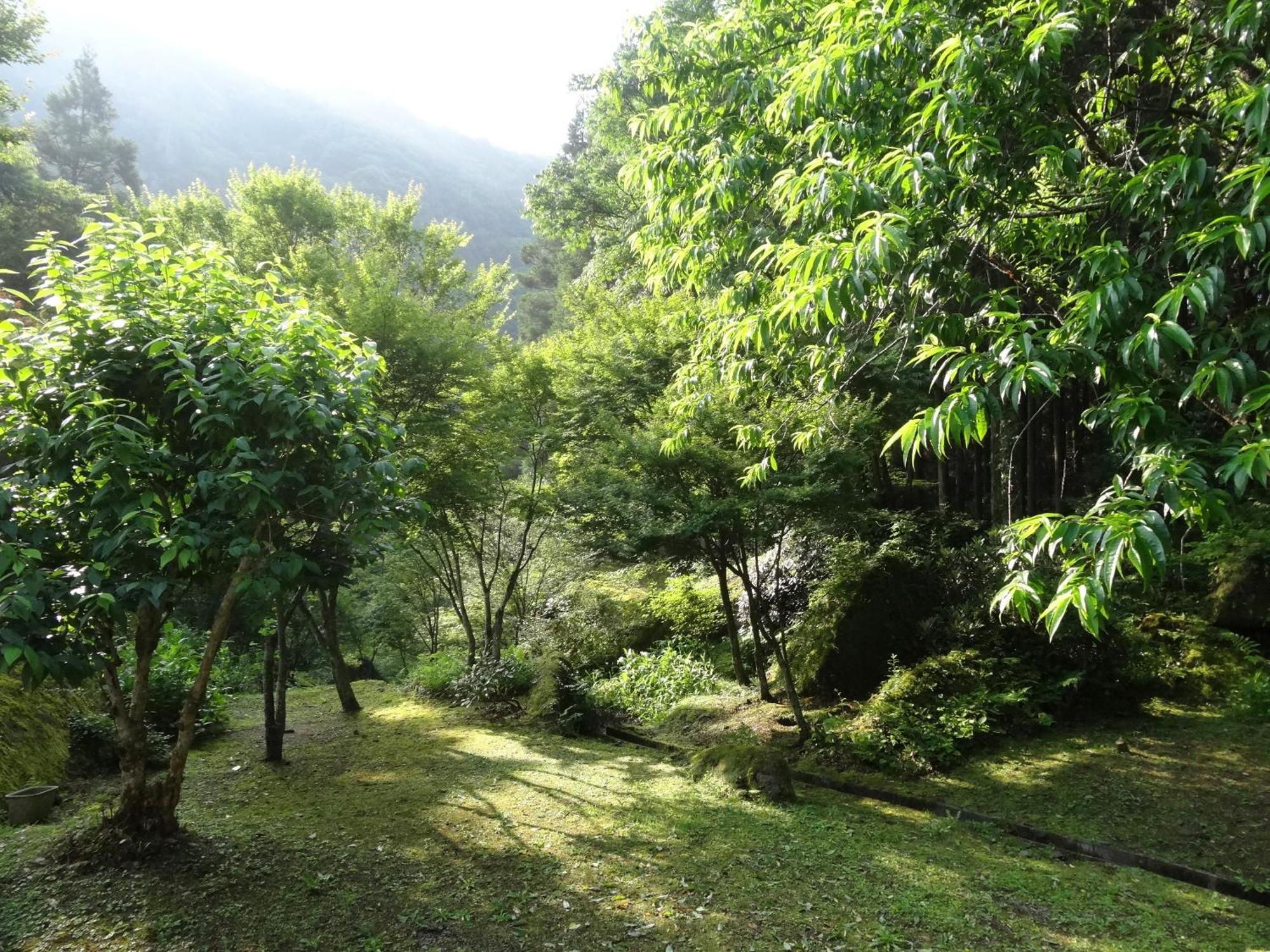 Auberge Funoki Nakatsu Exteriér fotografie